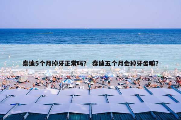 泰迪5个月掉牙正常吗？ 泰迪五个月会掉牙齿嘛？