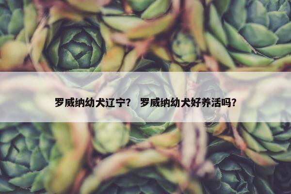 罗威纳幼犬辽宁？ 罗威纳幼犬好养活吗？