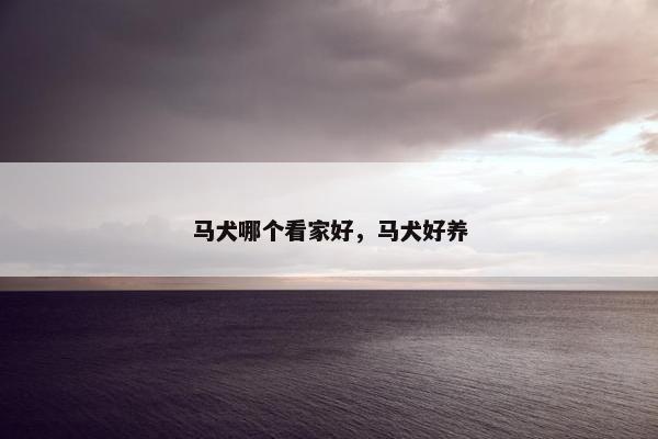 马犬哪个看家好，马犬好养