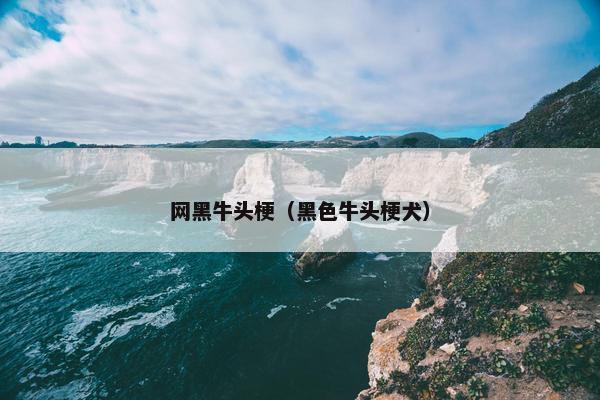 网黑牛头梗（黑色牛头梗犬）