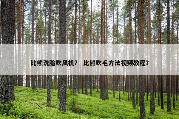 比熊洗脸吹风机？ 比熊吹毛方法视频教程？
