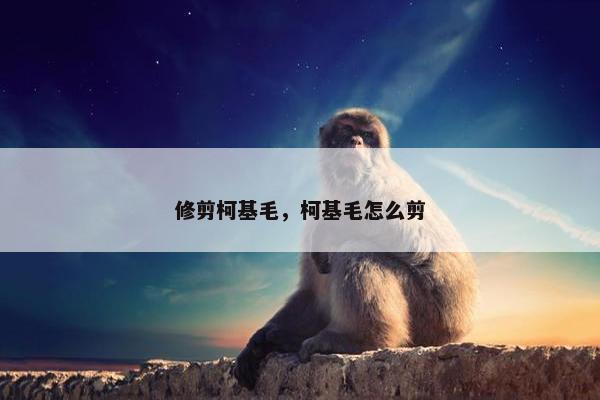 修剪柯基毛，柯基毛怎么剪