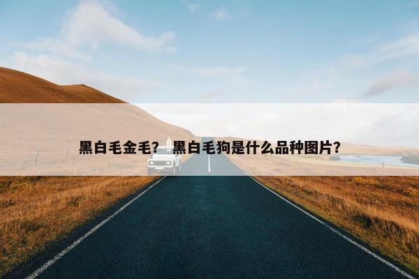金毛 第9页
