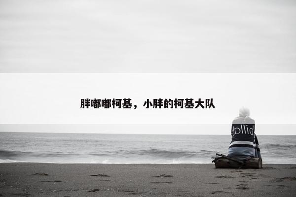 胖嘟嘟柯基，小胖的柯基大队