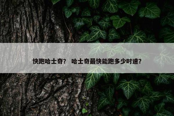 快跑哈士奇？ 哈士奇最快能跑多少时速？