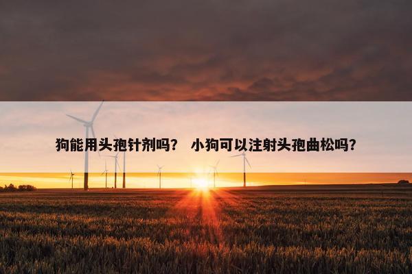狗能用头孢针剂吗？ 小狗可以注射头孢曲松吗？