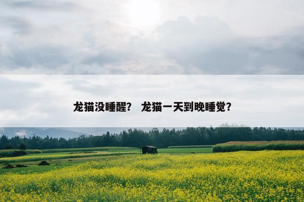 龙猫没睡醒？ 龙猫一天到晚睡觉？