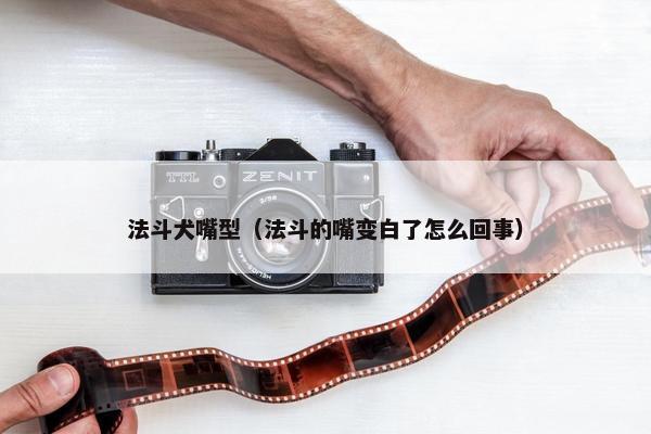 法斗犬嘴型（法斗的嘴变白了怎么回事）