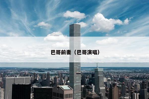巴哥前妻（巴哥演唱）