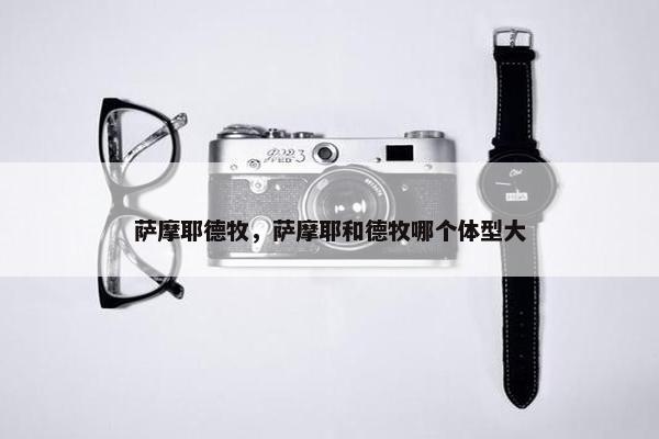萨摩耶德牧，萨摩耶和德牧哪个体型大