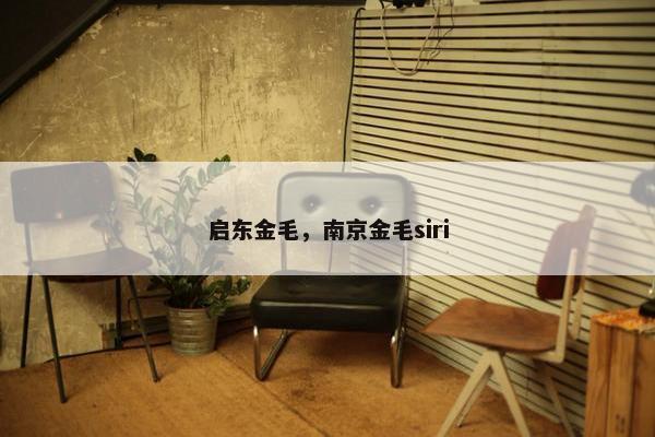 启东金毛，南京金毛siri