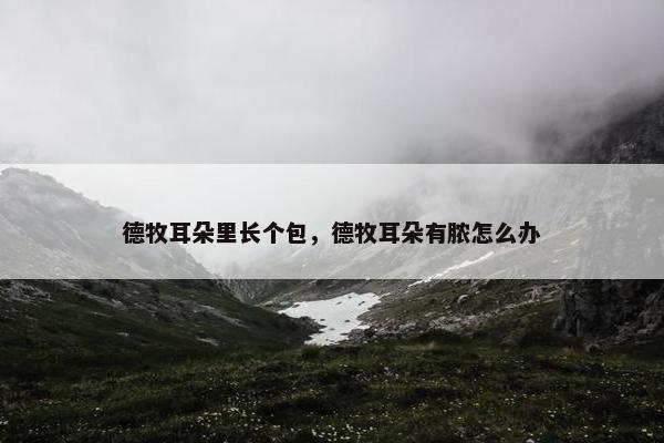 德牧耳朵里长个包，德牧耳朵有脓怎么办