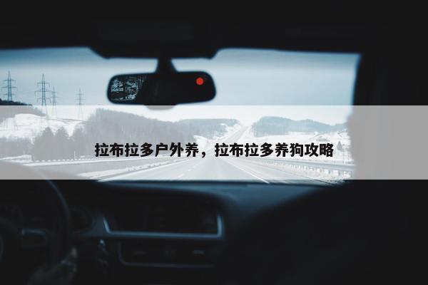 拉布拉多户外养，拉布拉多养狗攻略
