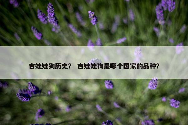 吉娃娃狗历史？ 吉娃娃狗是哪个国家的品种？