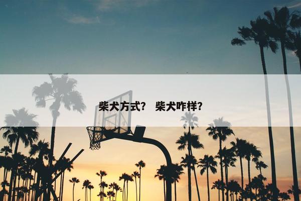 柴犬方式？ 柴犬咋样？