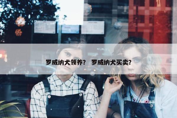 罗威纳犬领养？ 罗威纳犬买卖？