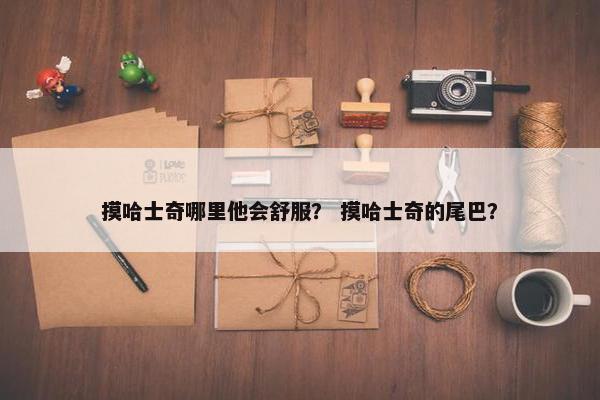 摸哈士奇哪里他会舒服？ 摸哈士奇的尾巴？