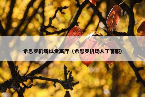 希思罗机场t2贵宾厅（希思罗机场人工客服）