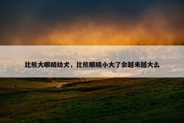 比熊大眼睛幼犬，比熊眼睛小大了会越来越大么