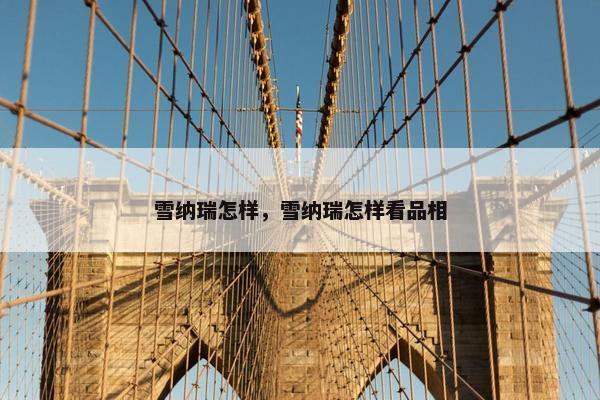 雪纳瑞怎样，雪纳瑞怎样看品相