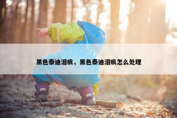 黑色泰迪泪痕，黑色泰迪泪痕怎么处理
