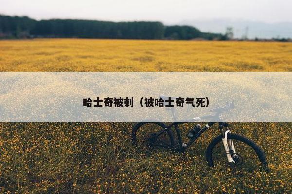 哈士奇被刺（被哈士奇气死）