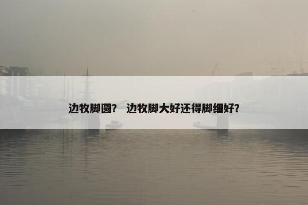 边牧脚圆？ 边牧脚大好还得脚细好？