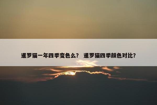 暹罗猫一年四季变色么？ 暹罗猫四季颜色对比？