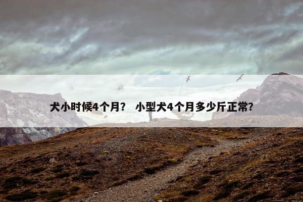 犬小时候4个月？ 小型犬4个月多少斤正常？