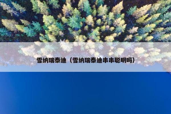 雪纳瑞泰迪（雪纳瑞泰迪串串聪明吗）