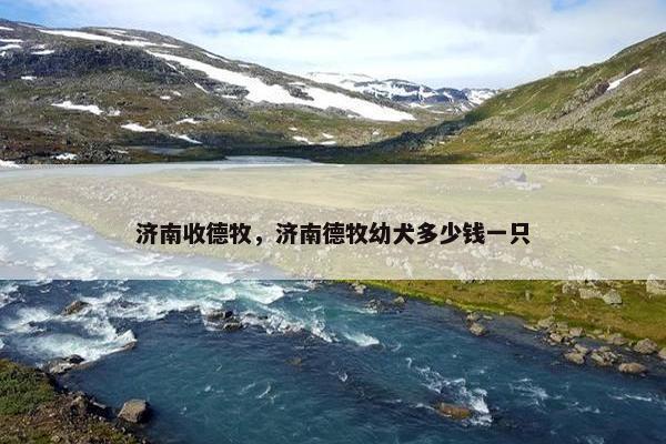德牧 第6页