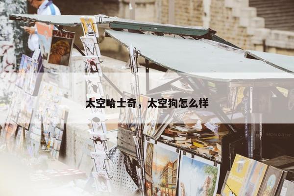 太空哈士奇，太空狗怎么样