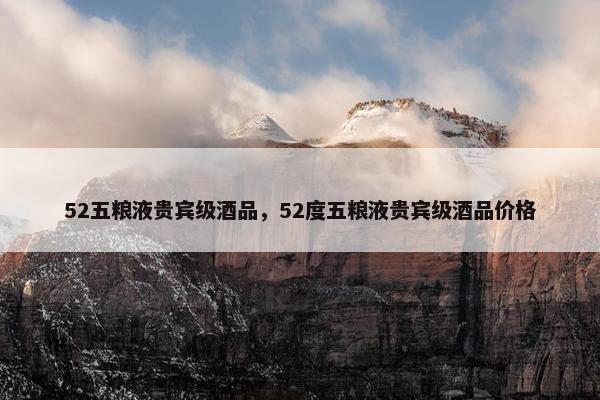 52五粮液贵宾级酒品，52度五粮液贵宾级酒品价格