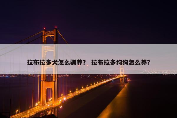 拉布拉多犬怎么驯养？ 拉布拉多狗狗怎么养？