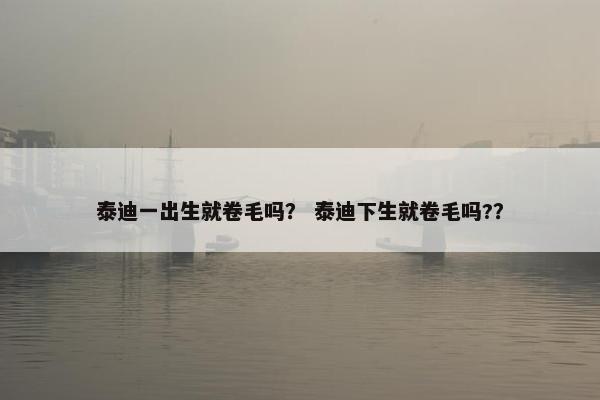 泰迪 第6页