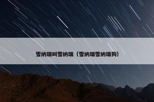 雪纳瑞叫雪纳瑞（雪纳瑞雪纳瑞狗）