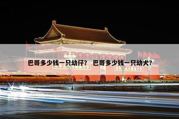 巴哥多少钱一只幼仔？ 巴哥多少钱一只幼犬？
