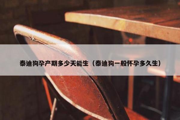 泰迪狗孕产期多少天能生（泰迪狗一般怀孕多久生）