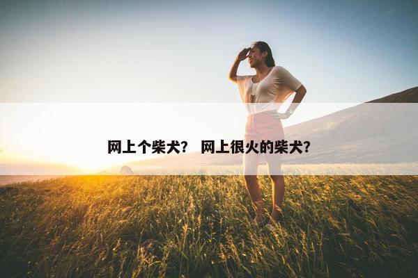 网上个柴犬？ 网上很火的柴犬？