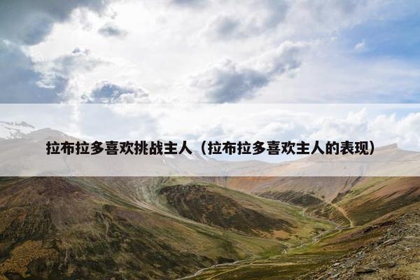 拉布拉多喜欢挑战主人（拉布拉多喜欢主人的表现）