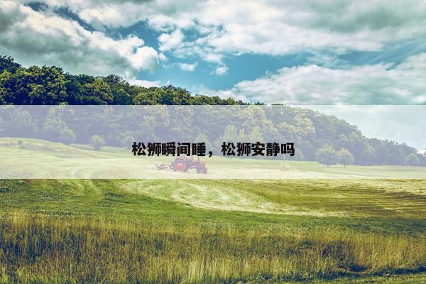 松狮瞬间睡，松狮安静吗