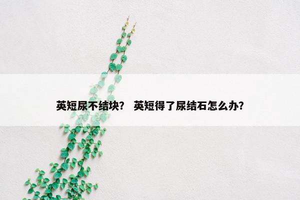 英短尿不结块？ 英短得了尿结石怎么办？