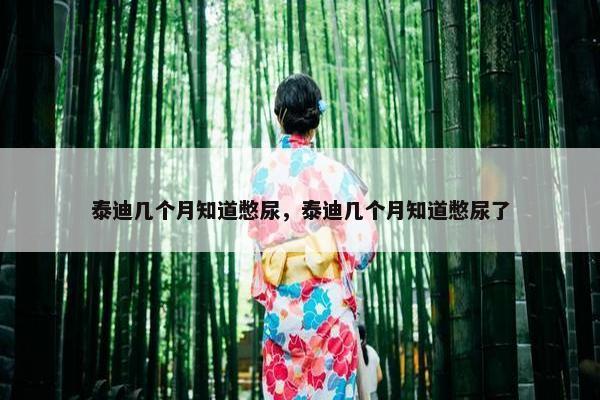 泰迪几个月知道憋尿，泰迪几个月知道憋尿了