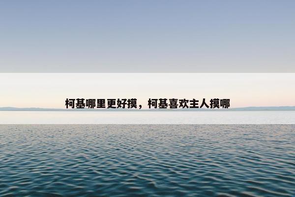 柯基哪里更好摸，柯基喜欢主人摸哪