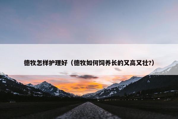 德牧怎样护理好（德牧如何饲养长的又高又壮?）