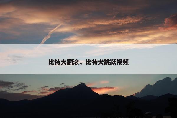 比特犬翻滚，比特犬跳跃视频