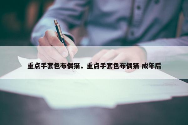 重点手套色布偶猫，重点手套色布偶猫 成年后