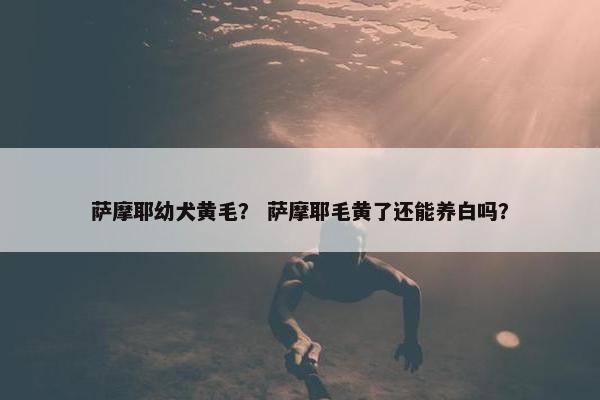 萨摩耶幼犬黄毛？ 萨摩耶毛黄了还能养白吗？