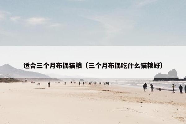 适合三个月布偶猫粮（三个月布偶吃什么猫粮好）