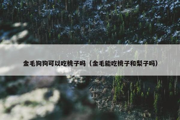 金毛狗狗可以吃桃子吗（金毛能吃桃子和梨子吗）